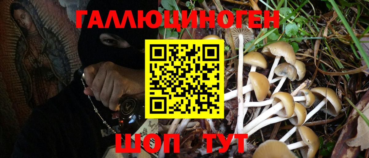 Псилоцибиновые грибы мицелий Минусинск
